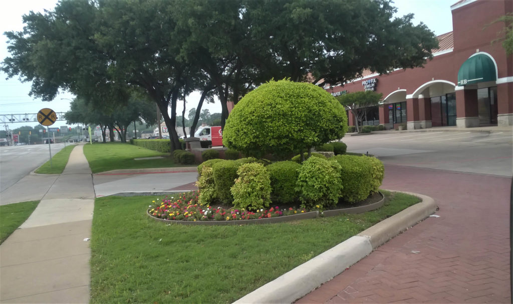 Fort Worth, Texas Landscaping Companies