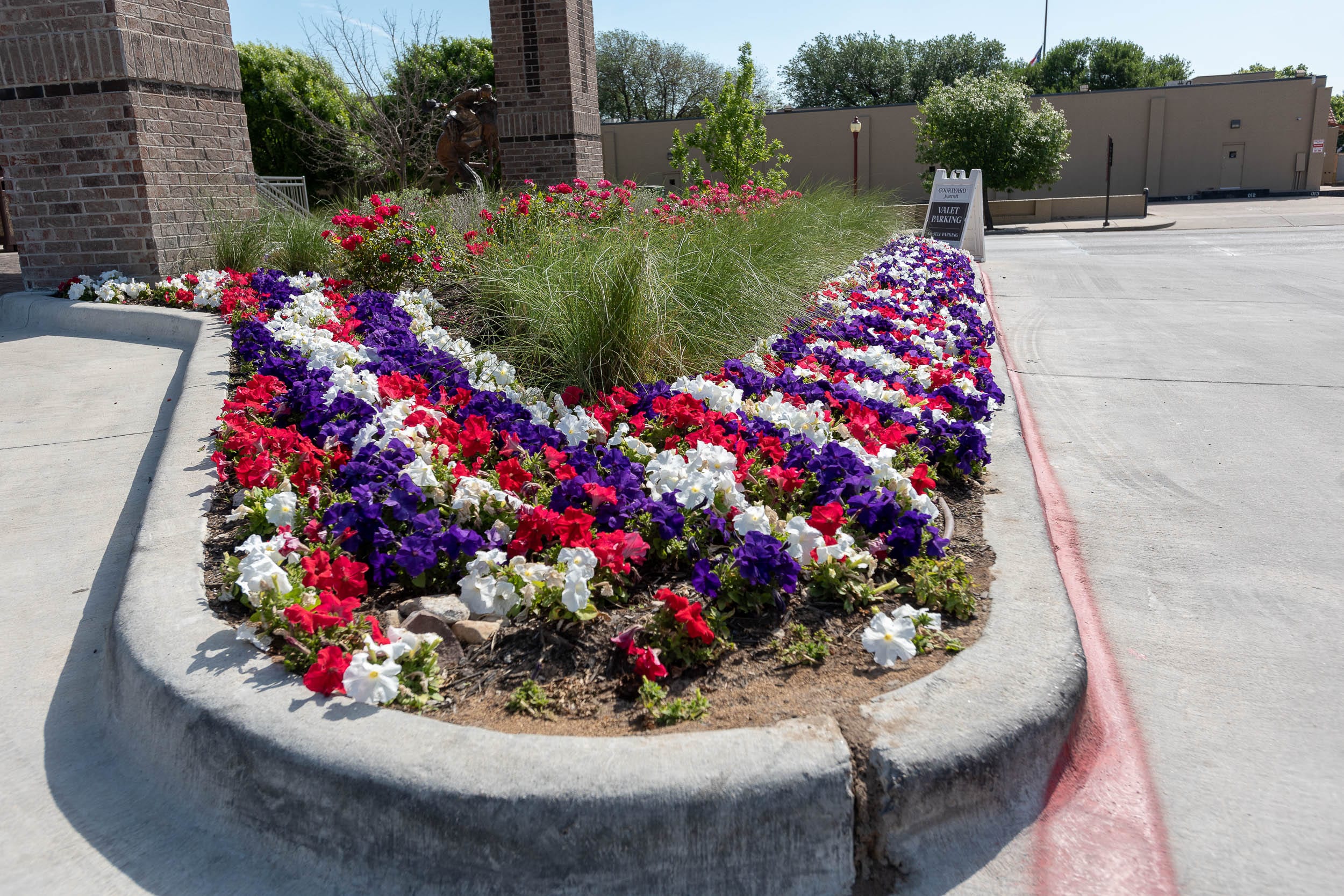 Arlington, Texas Commercial Landscaping Services
