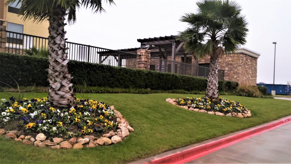 Irving, TX Commercial Landscape Maintenance