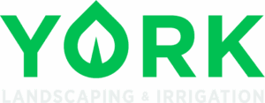 York Logo White Text Below