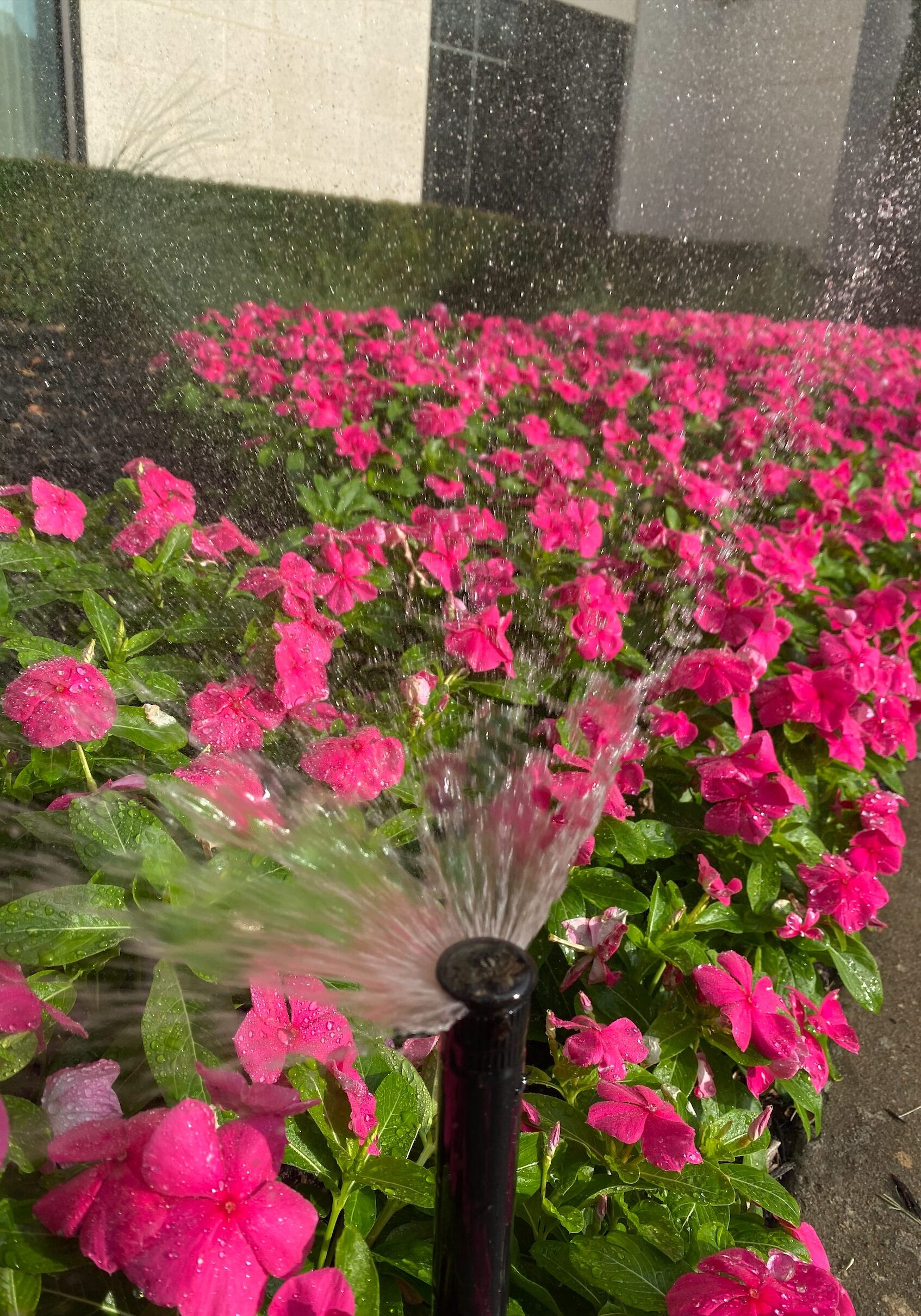 Fort Worth, TX Commercial Irrigation Contractors